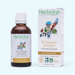 Echinacée pourpre Extrait de Plante fraîche Bio