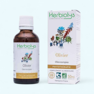 Olivier Extrait de Plante fraîche Bio